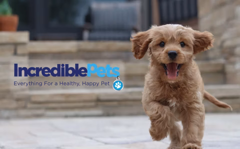 How Incredible Pets Cut Down Editing Time from 3+ Hours to 30 Minutes Using Ablestar Bulk Product Editor